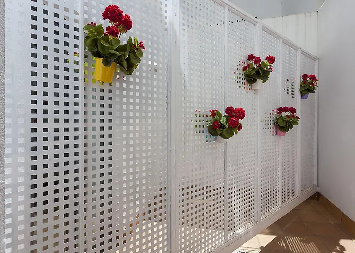فندق Aacr Museo