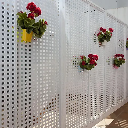 Szálloda Aacr Museo